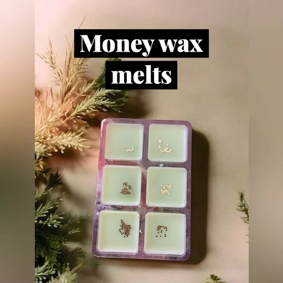 Scented money Wax Melts - NIB - Picture 2 of 3